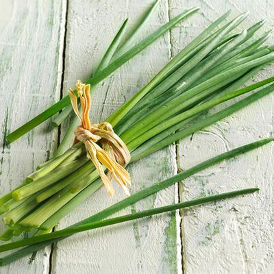 Erbe - Jardin des herbes ciboulette