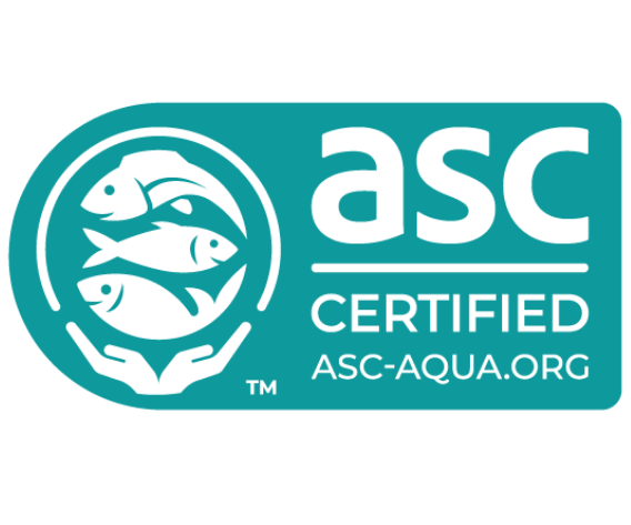 certificazionearticolo1_2.png