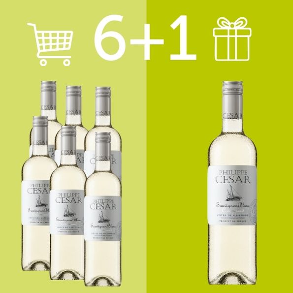 6+1 in omaggio - Vino
