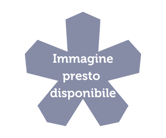 40% Pasticcini con Crema alla Vaniglia e Mandorle