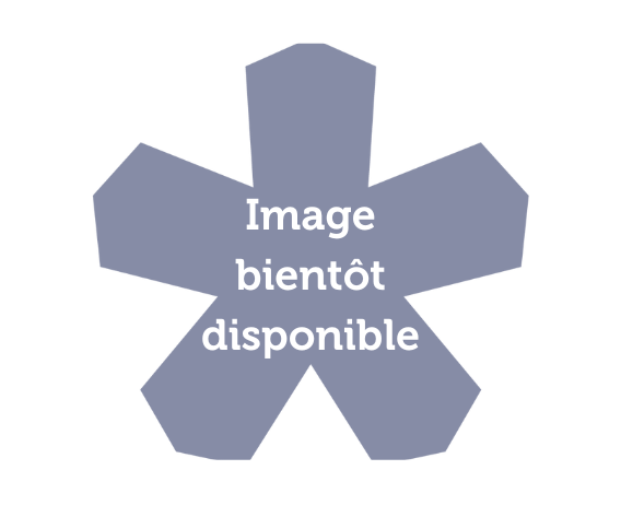 Tartes flamb&eacute;es alsaciennes