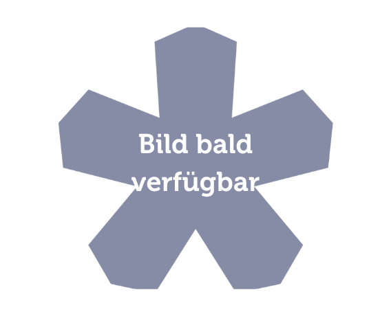 Pastasterne mit 4-Käse-Füllung